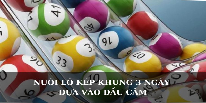 Chiến Thuật Nuôi Lô Kép Khung 3 Ngày Bất Bại Từ Cao Thủ 4 Dựa vào đầu câm để vào bờ
